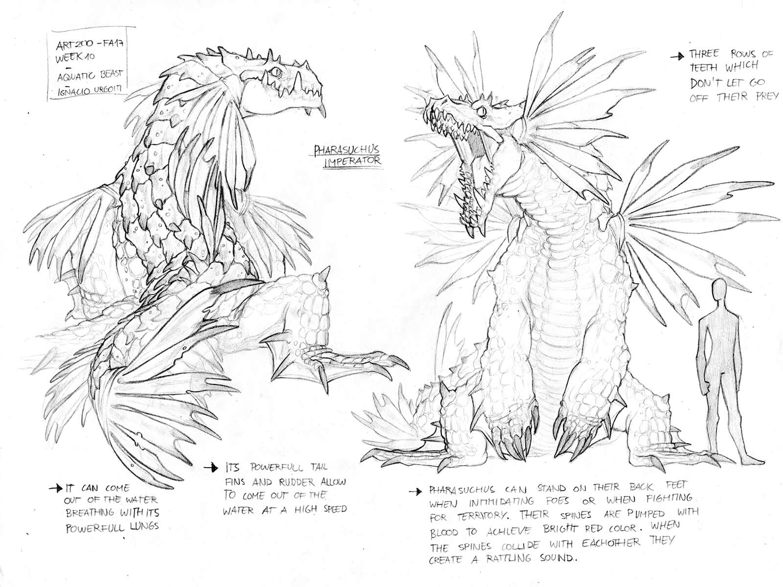 Black-and-white concept sketches of a frilled dragon-like creature in flight, standing, and eating an animal.