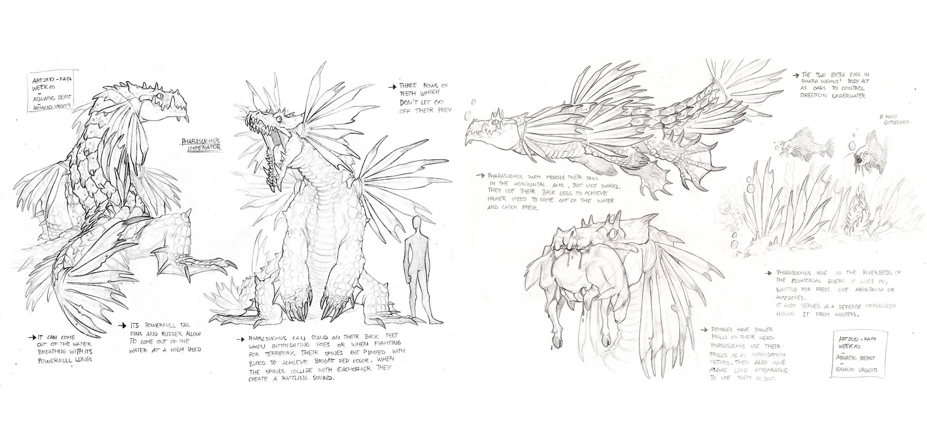 Bocetos conceptuales en blanco y negro de una especie de dragón con plumas en diferentes poses: volando, de pies y comiéndose un animal.