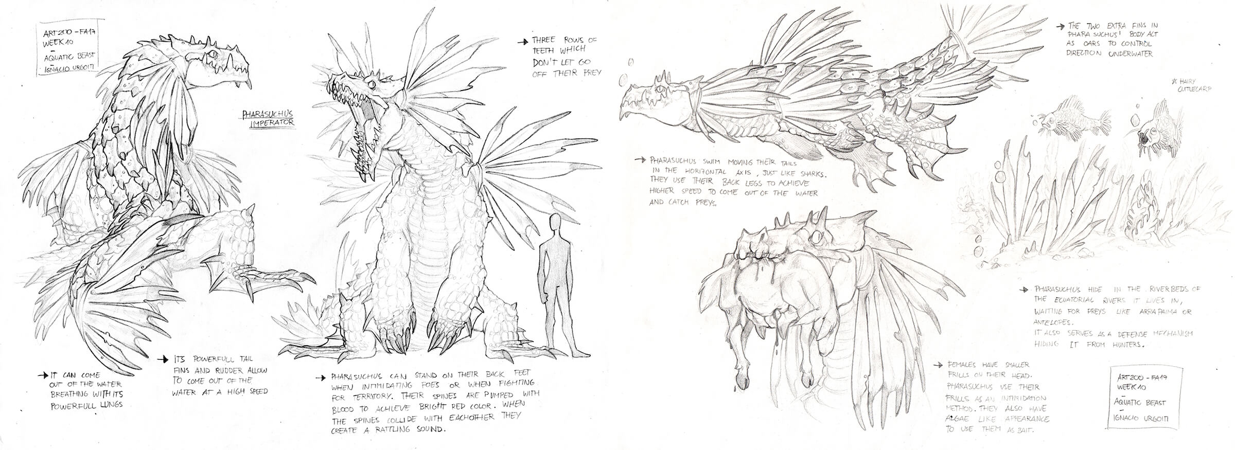Black-and-white concept sketches of a frilled dragon-like creature in flight, standing, and eating an animal.