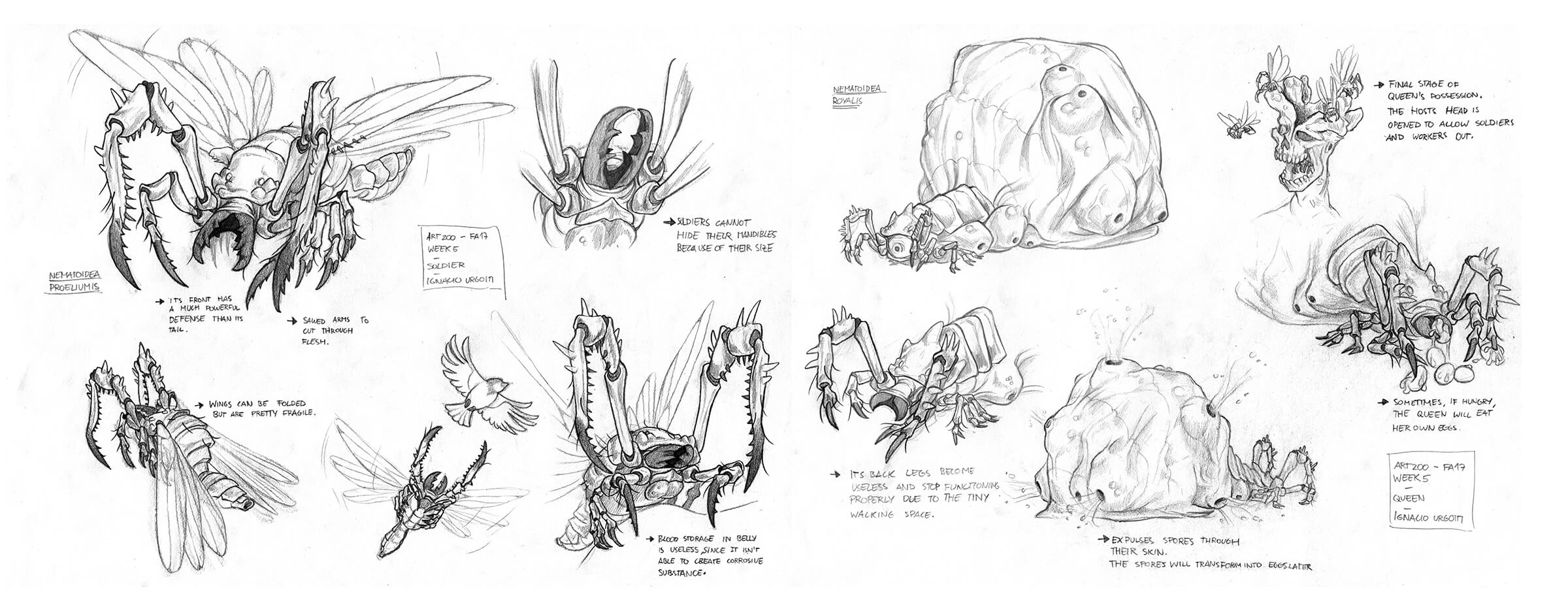 Black-and-white sketches of a fantastical flying insectoid with large pinching jaws, including its life cycle and prey.