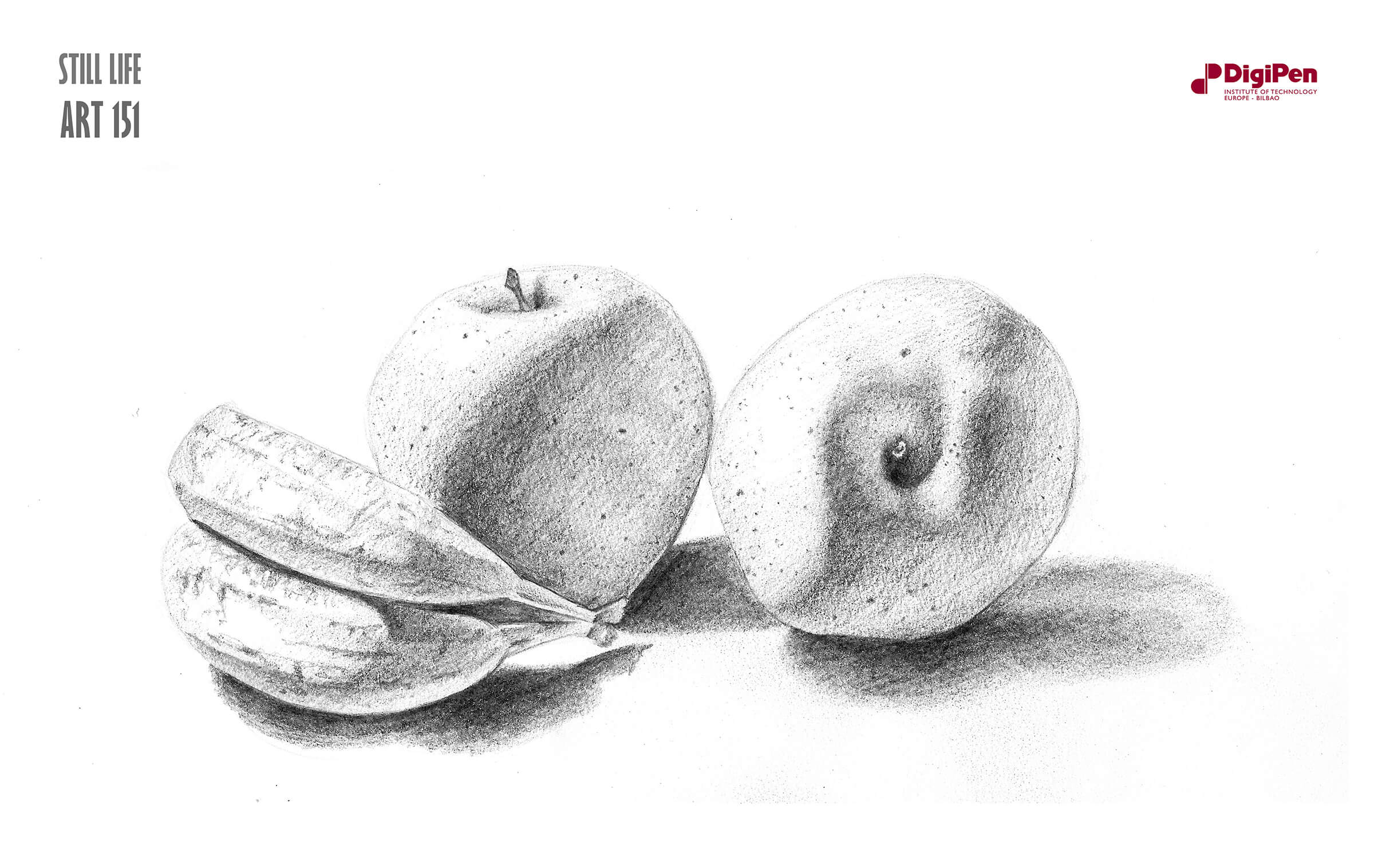 Dibujo en blanco y negro de un par de plátanos volteados de lado junto a dos manzanas. La fruta se ilumina desde la izquierda.