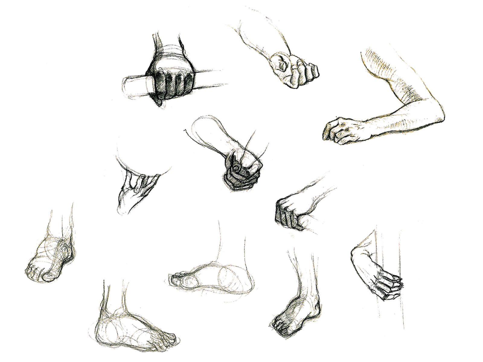 Black-and-white sketches of hands, arms, and feet in different poses, grasping and extending.