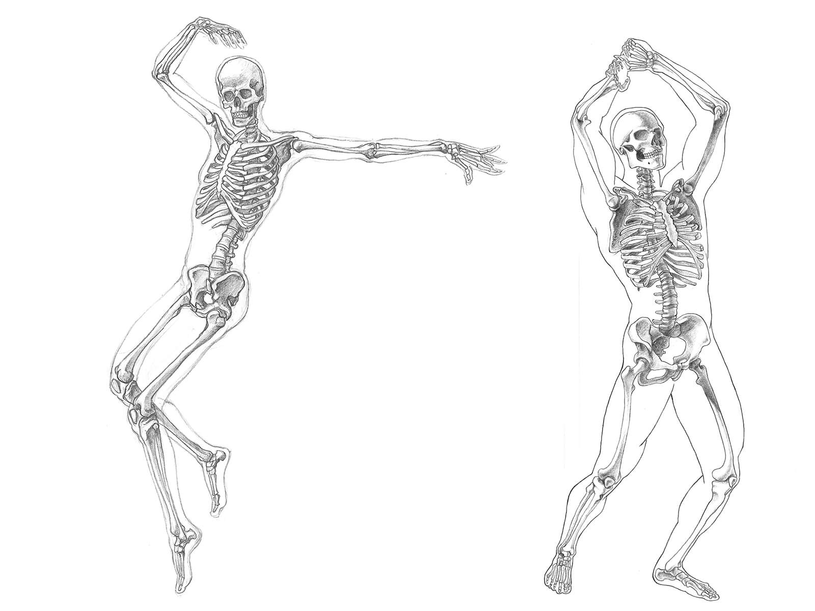 Black-and-white anatomical sketches of two human skeletons, one in a dancing pose, the other pantomiming lifting an ax.
