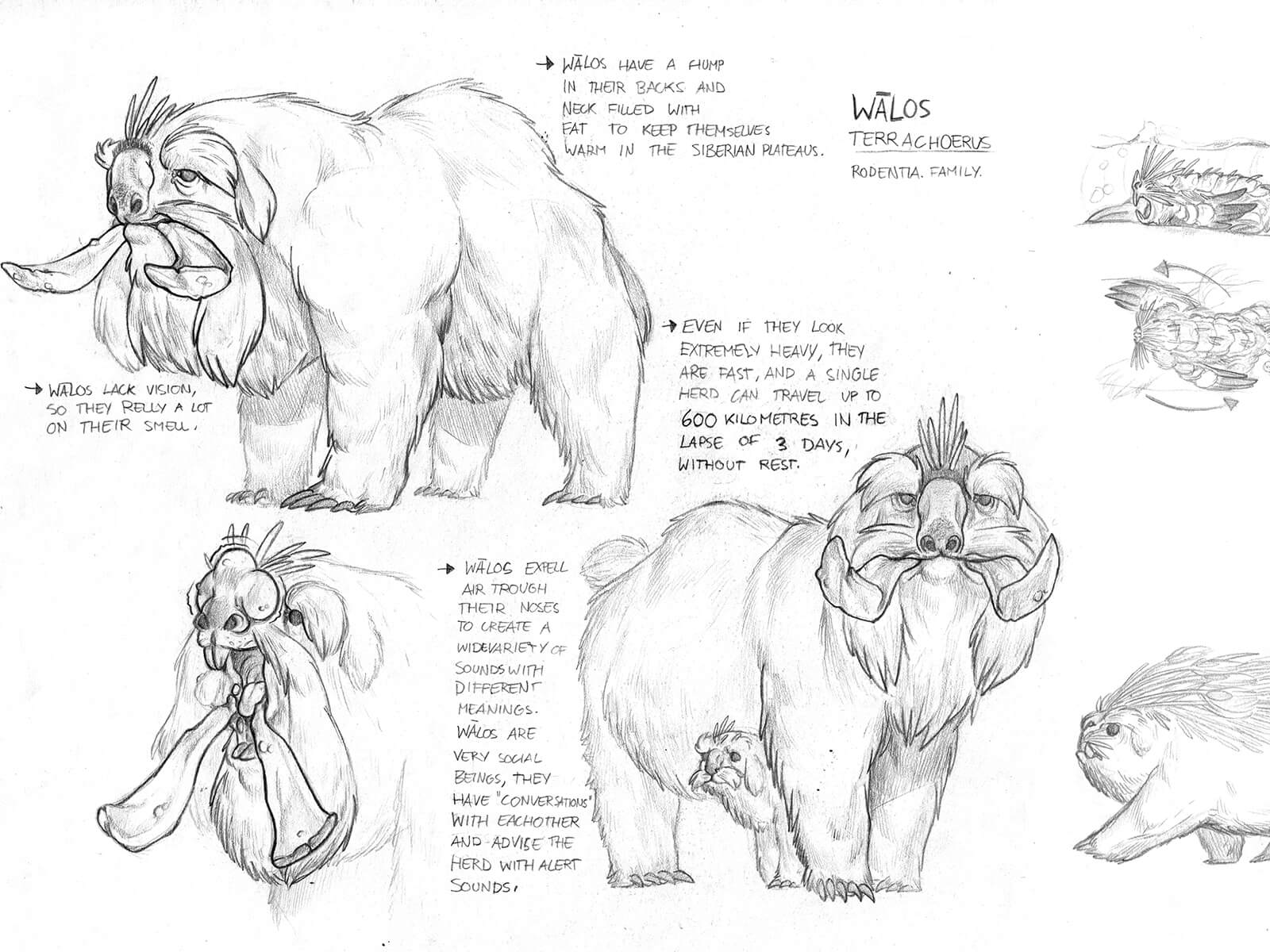 Black-and-white sketches of a fantastical white furry beast with features of a bear, dog, and boar as it stands and runs.