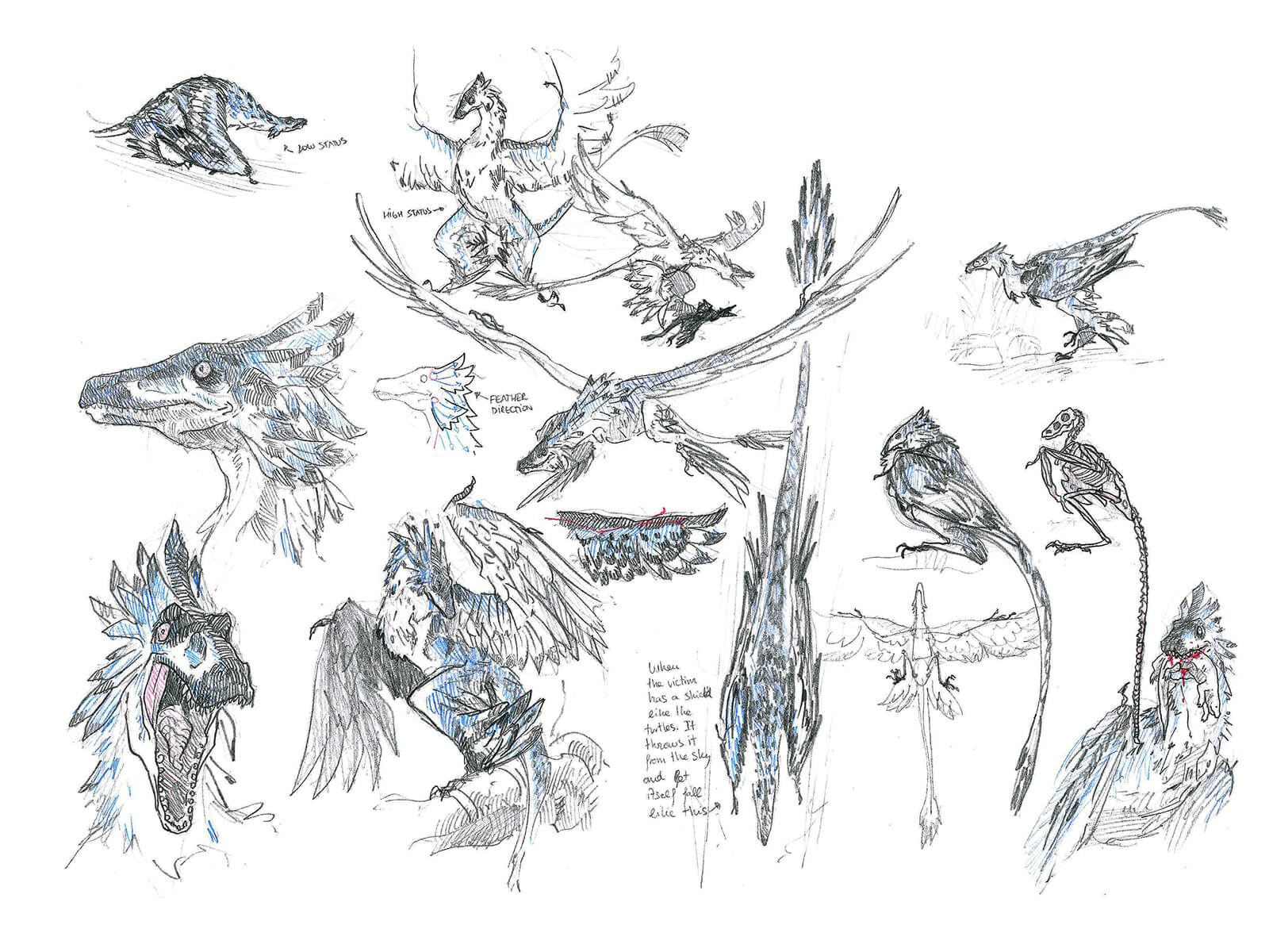 Black-and-white sketches of a feathered prehistoric raptor in poses such as flight, perching, eating, and walking